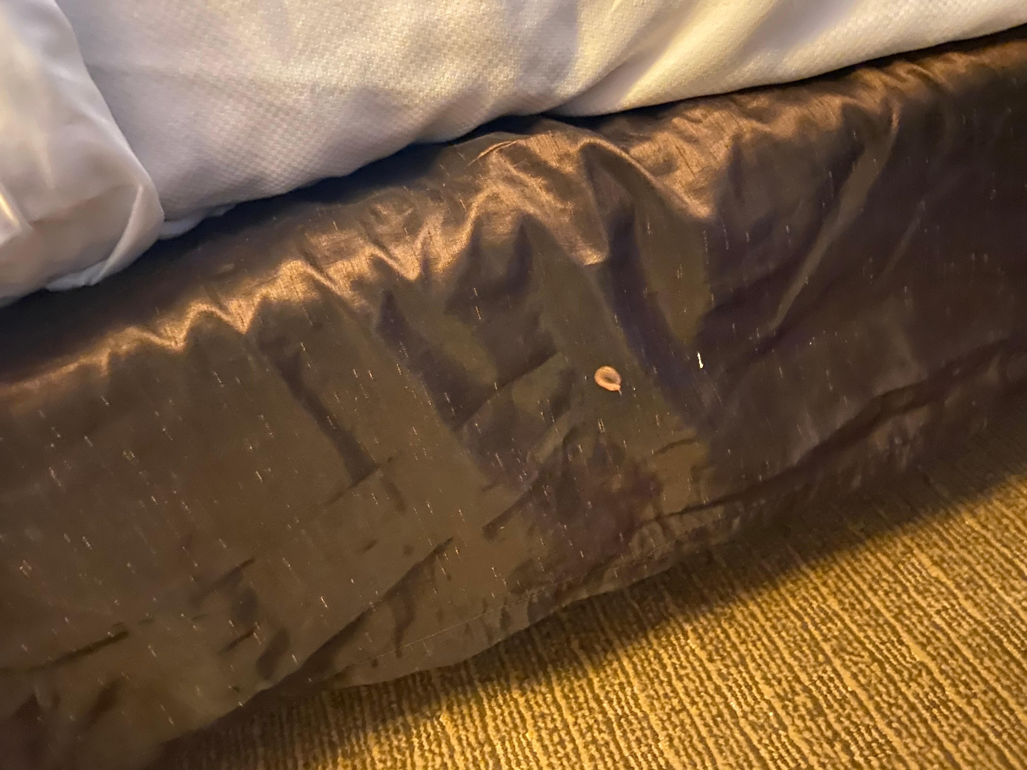 also and unknown stain like gum or something 
