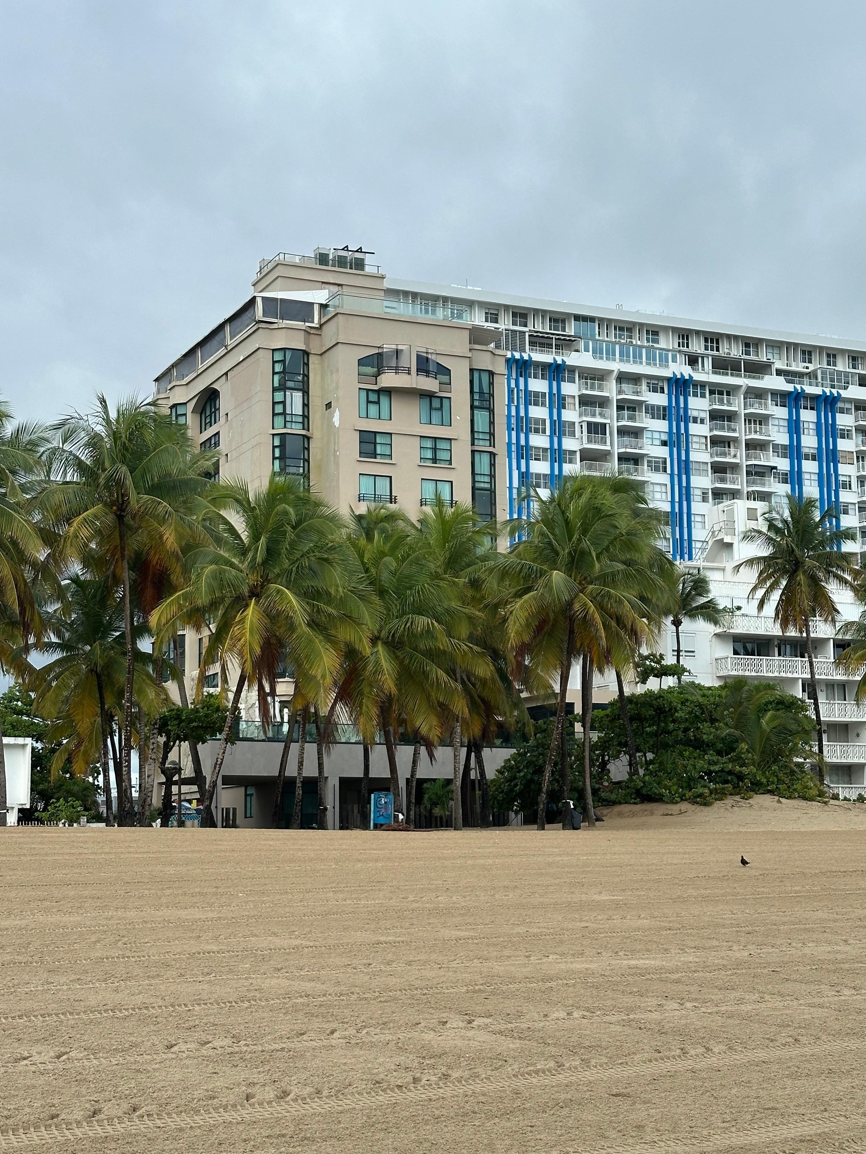 View from the beach