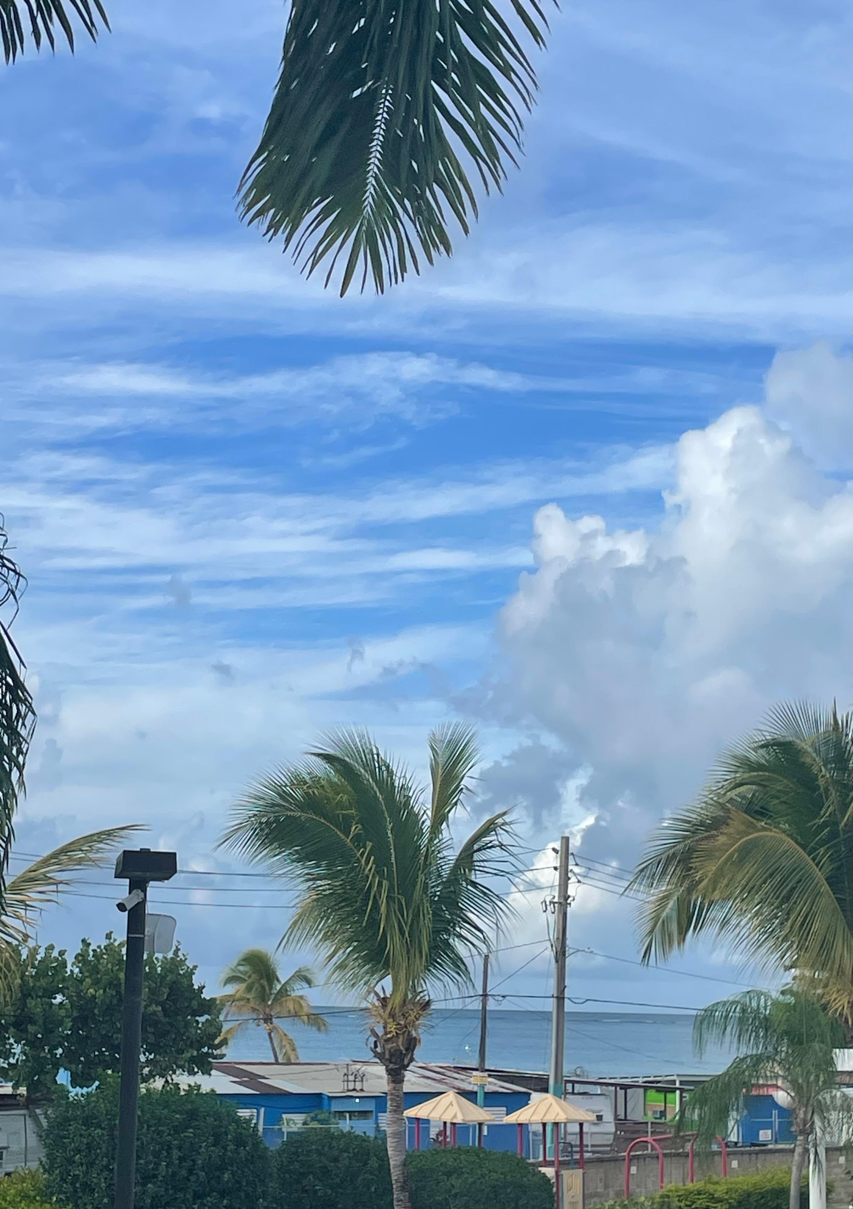 View of the beach from the balcony. 