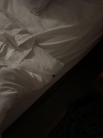 Cockroach running across the bed
