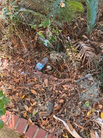 Garbage (there was more than this that I picked up and threw away)