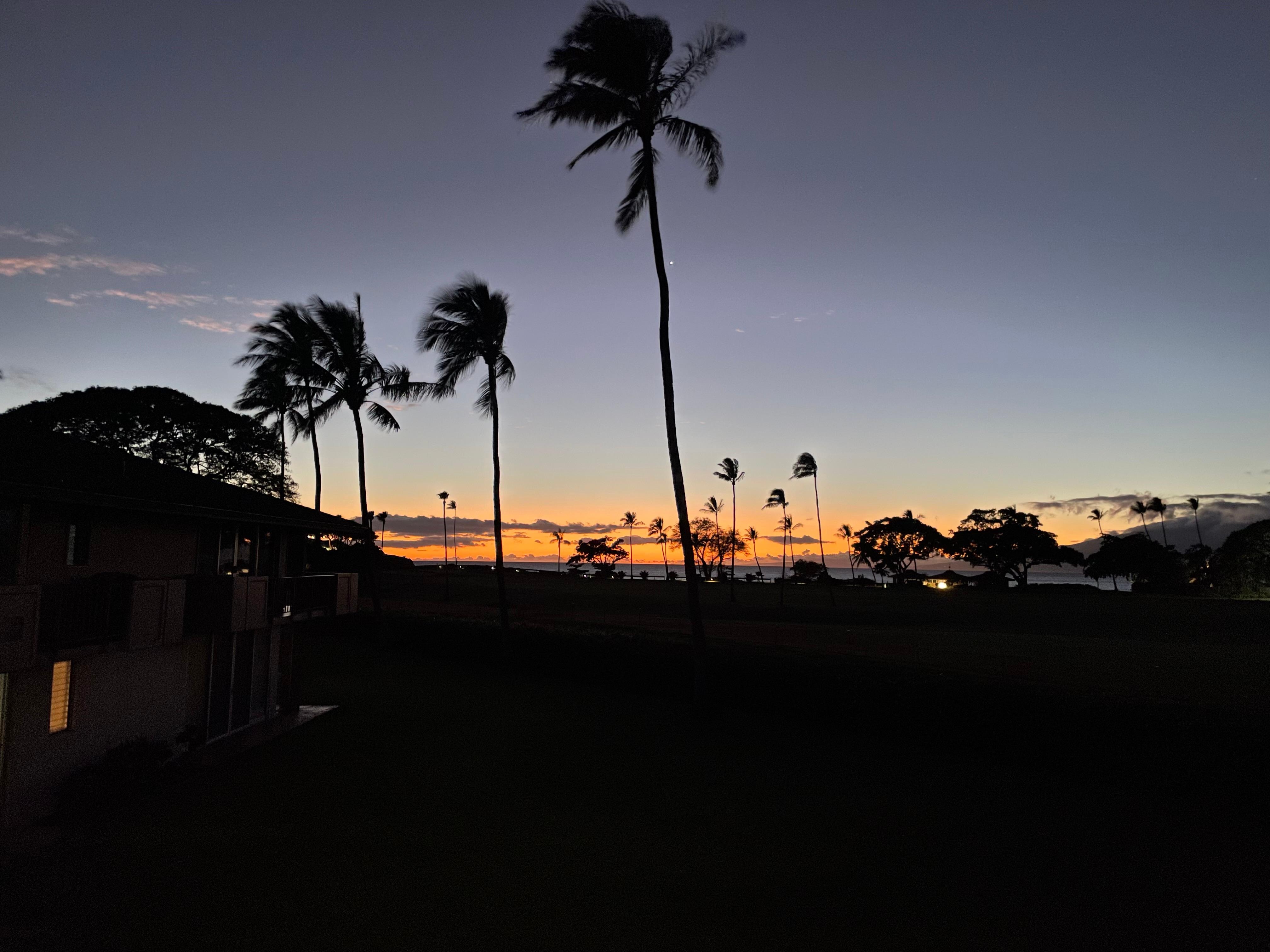 Gorgeous sunsets from the same spot. 