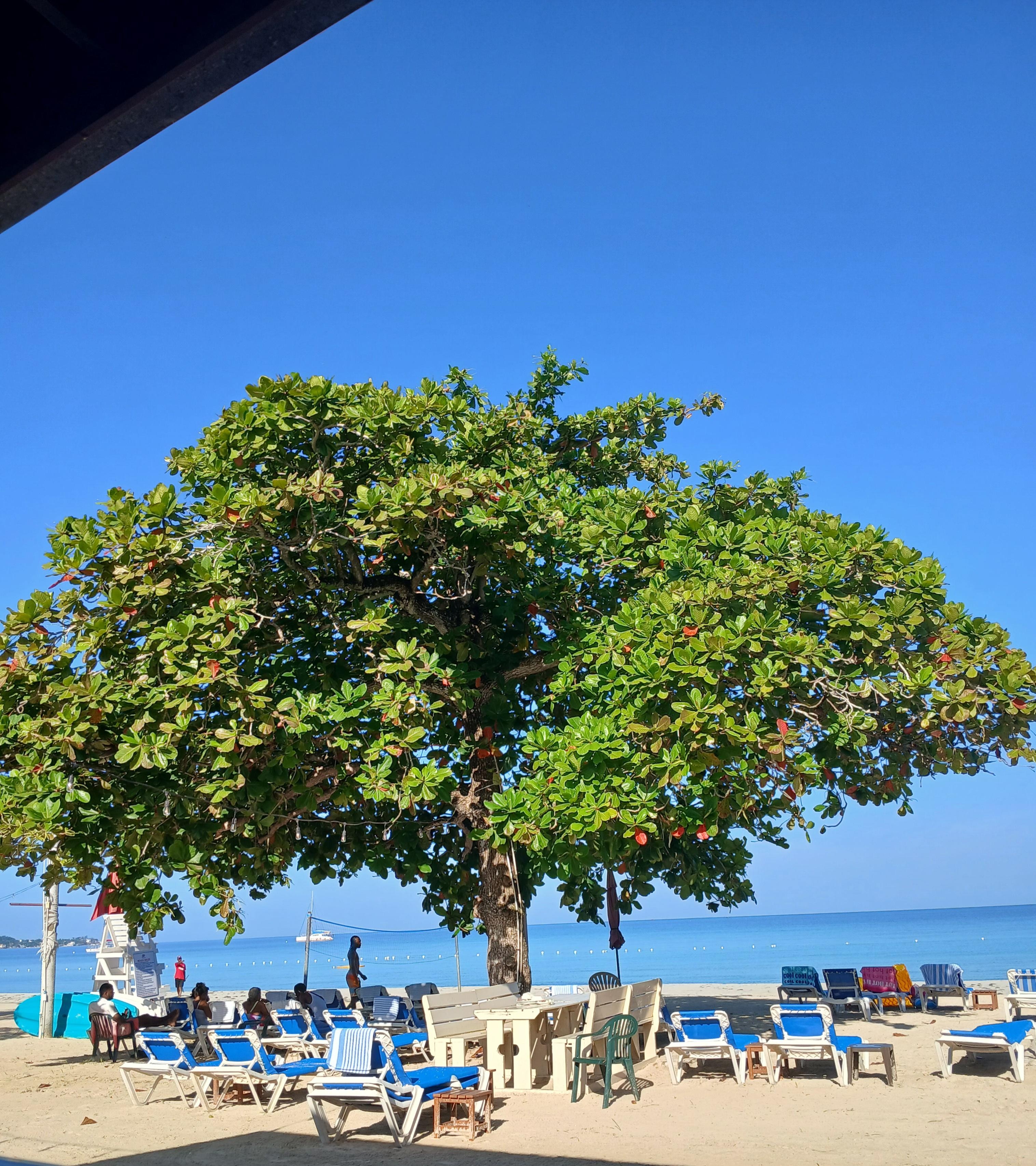View from the restaurant