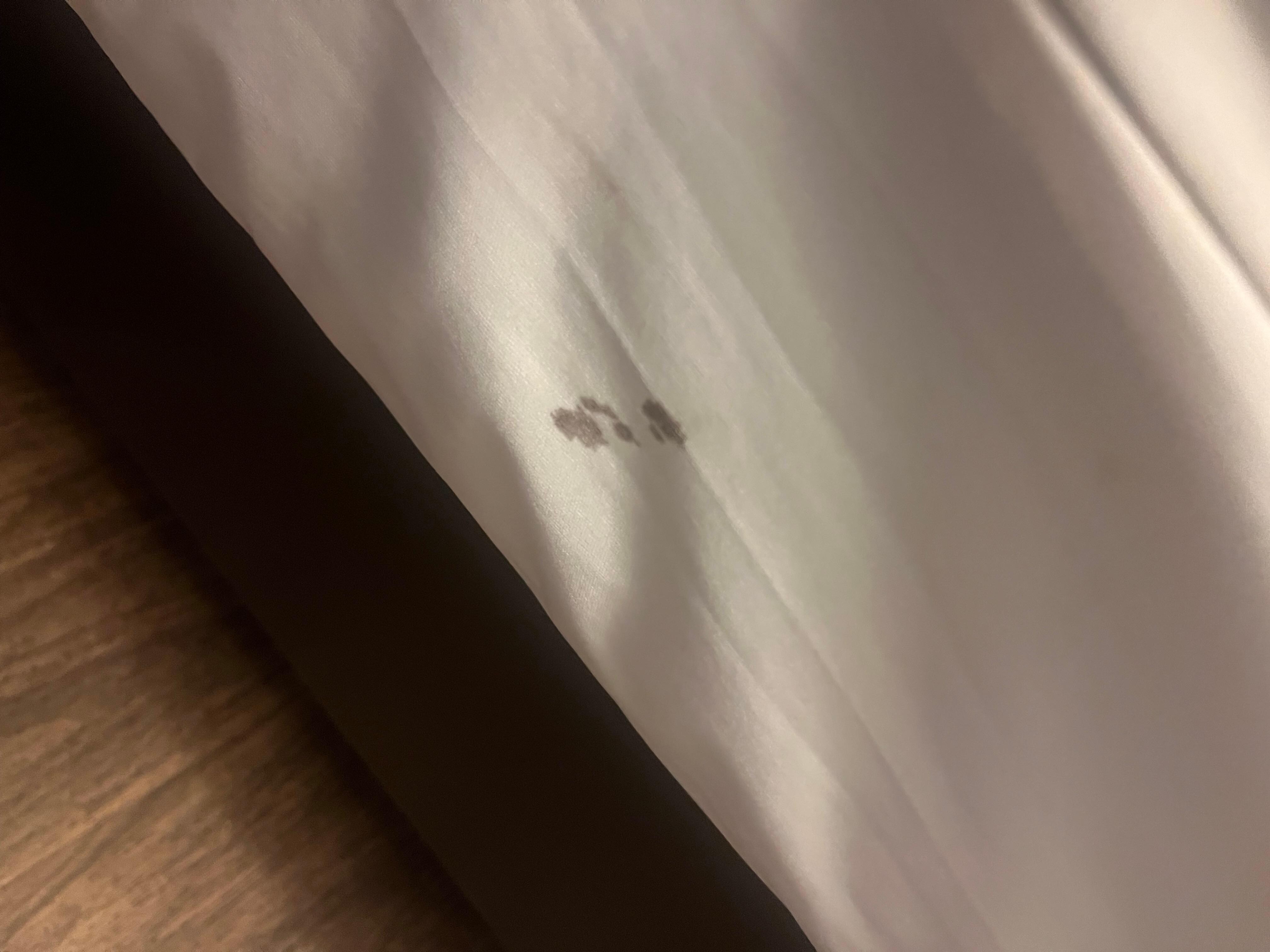 Blood on the bedskirt