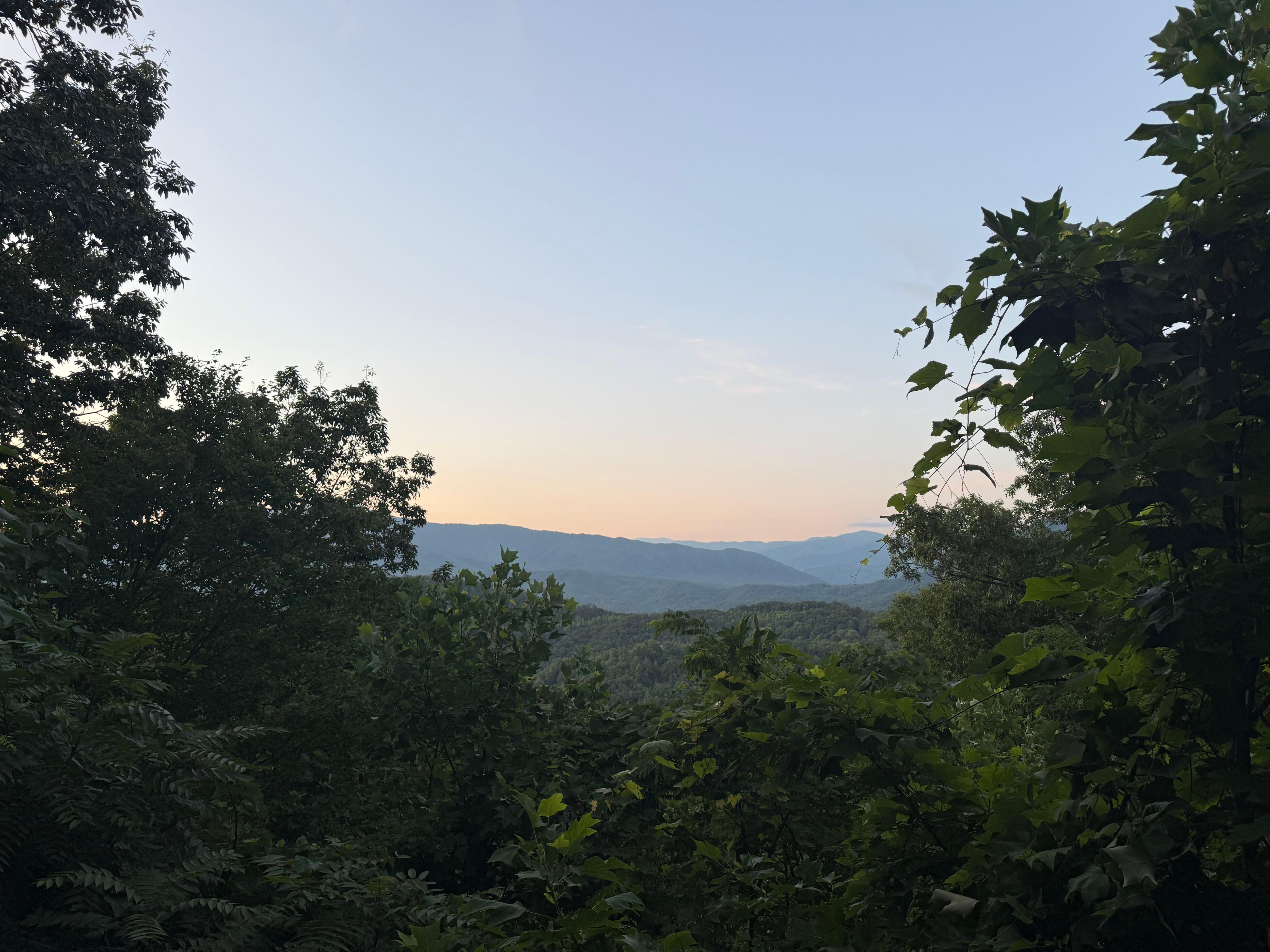 View blocked by overgrown trees compared to listed images. 