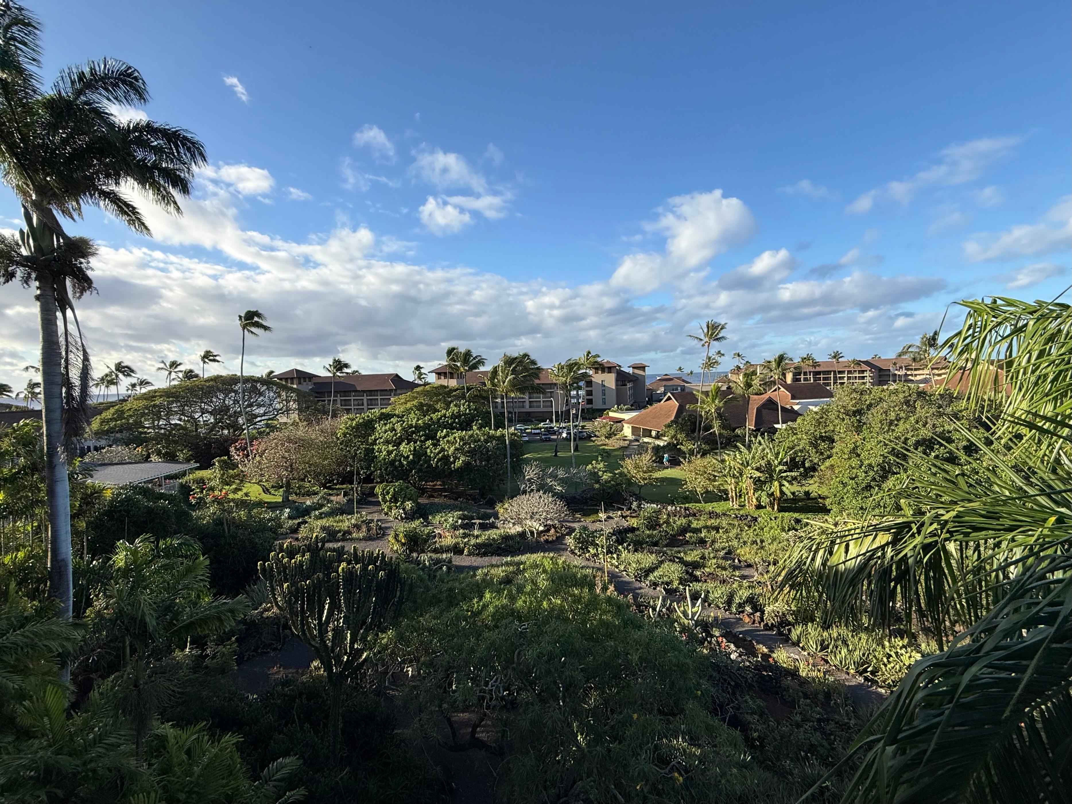 The view from the condo.  