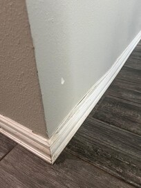 One spot of dirt and filth on the walls/baseboards in the kitchen