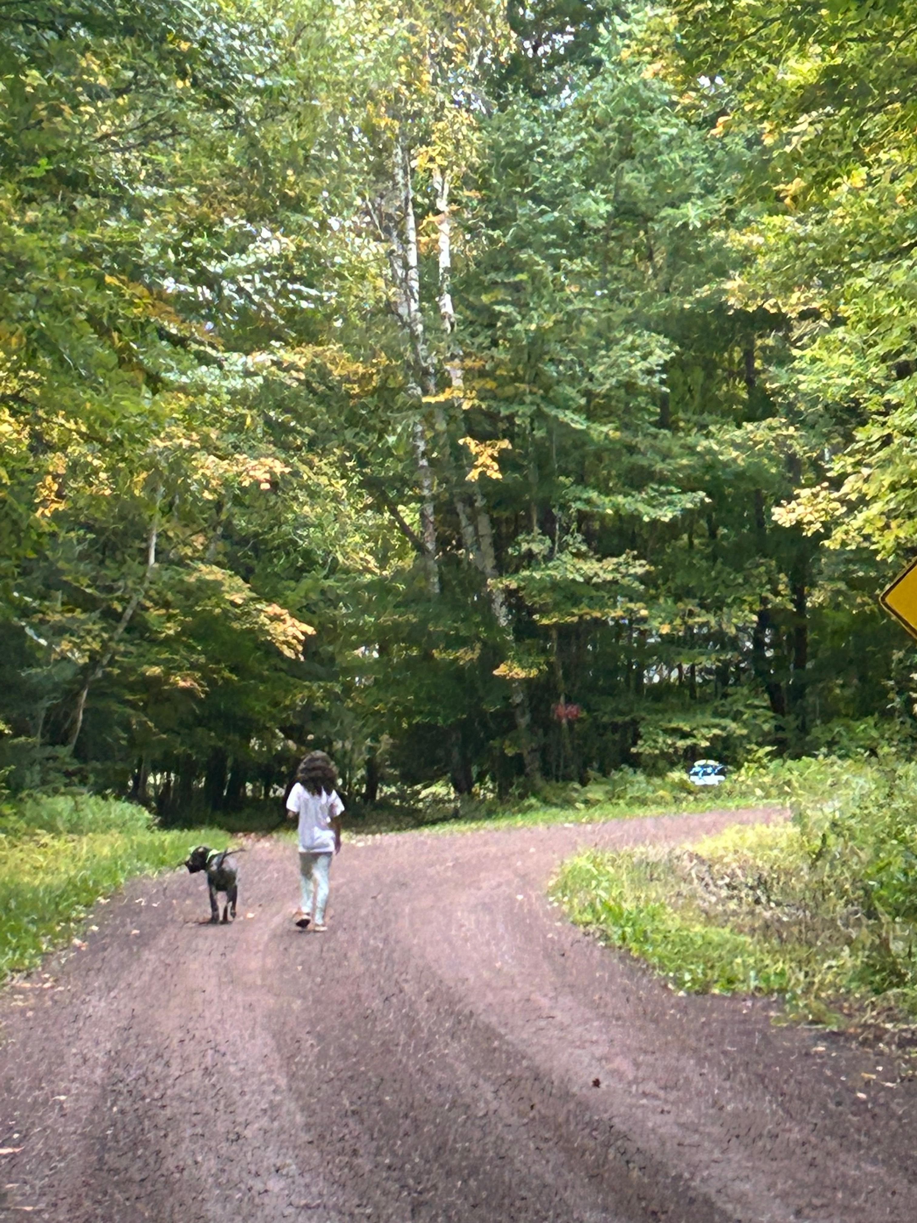 Walking the dog on the dirt road/dead end that the cabin is on. Perfect!!