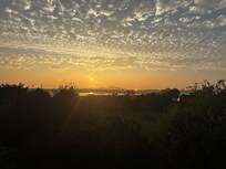 View from the terrace