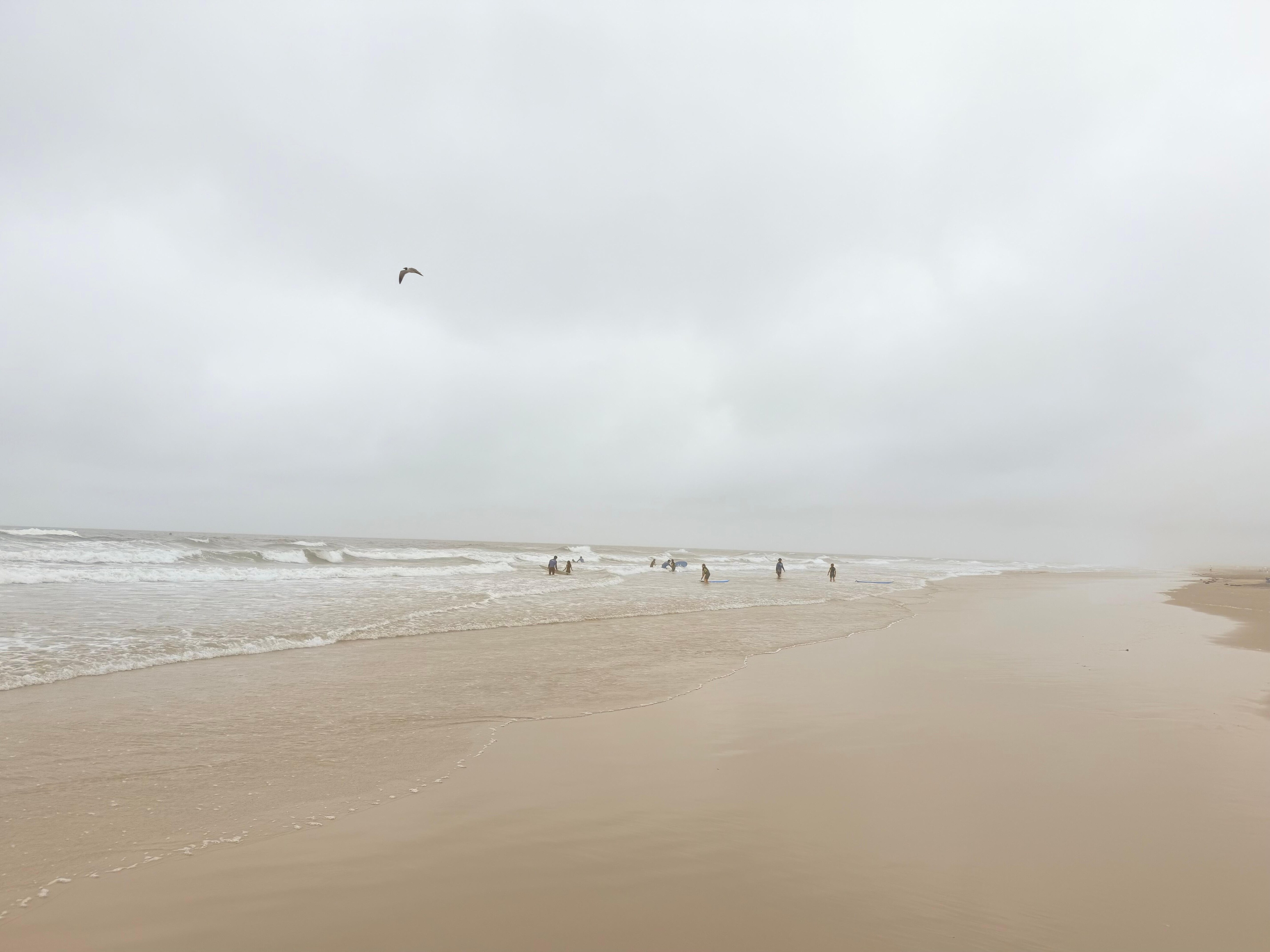 Misty beach morning