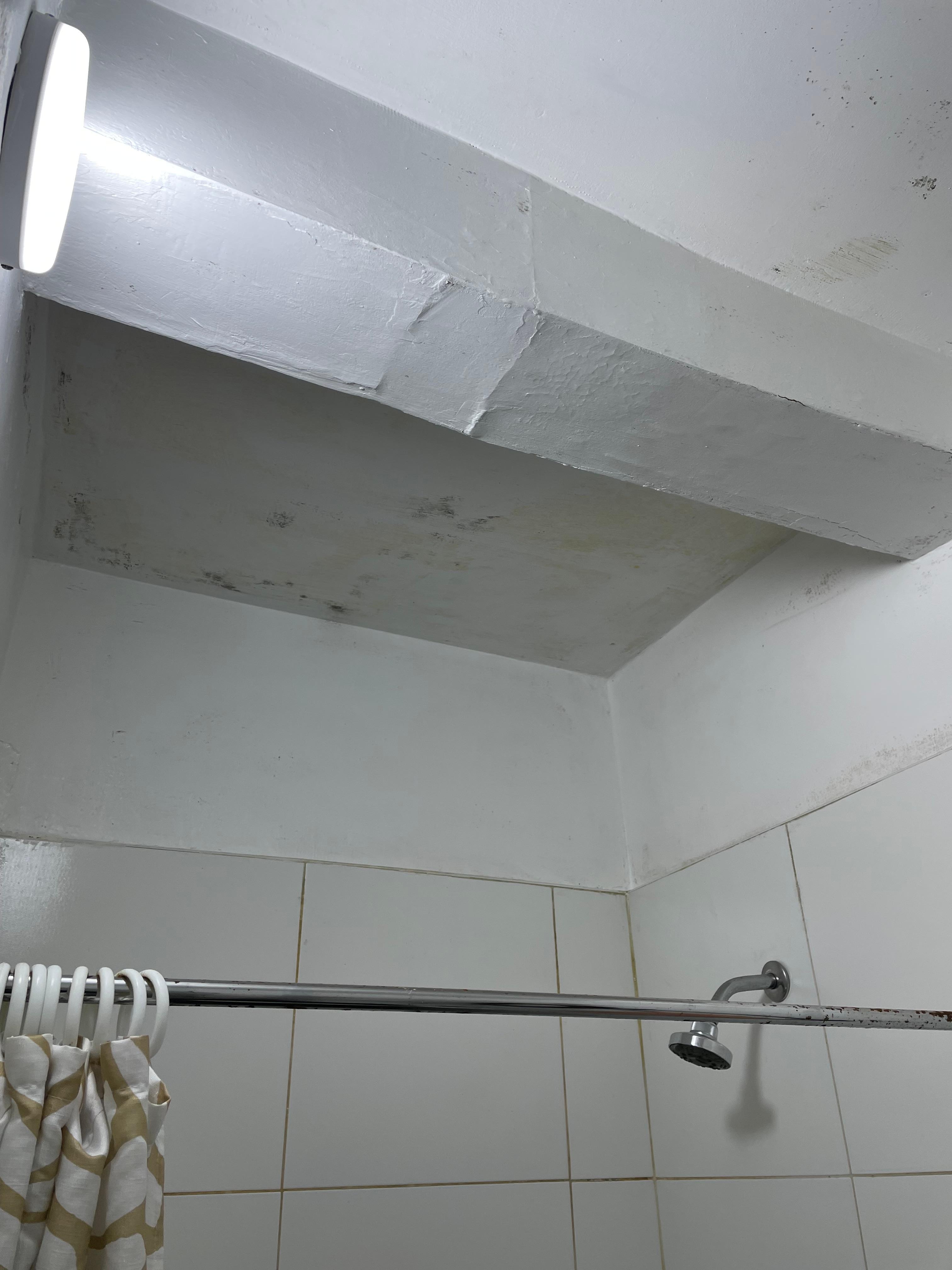 Further bathroom moulding