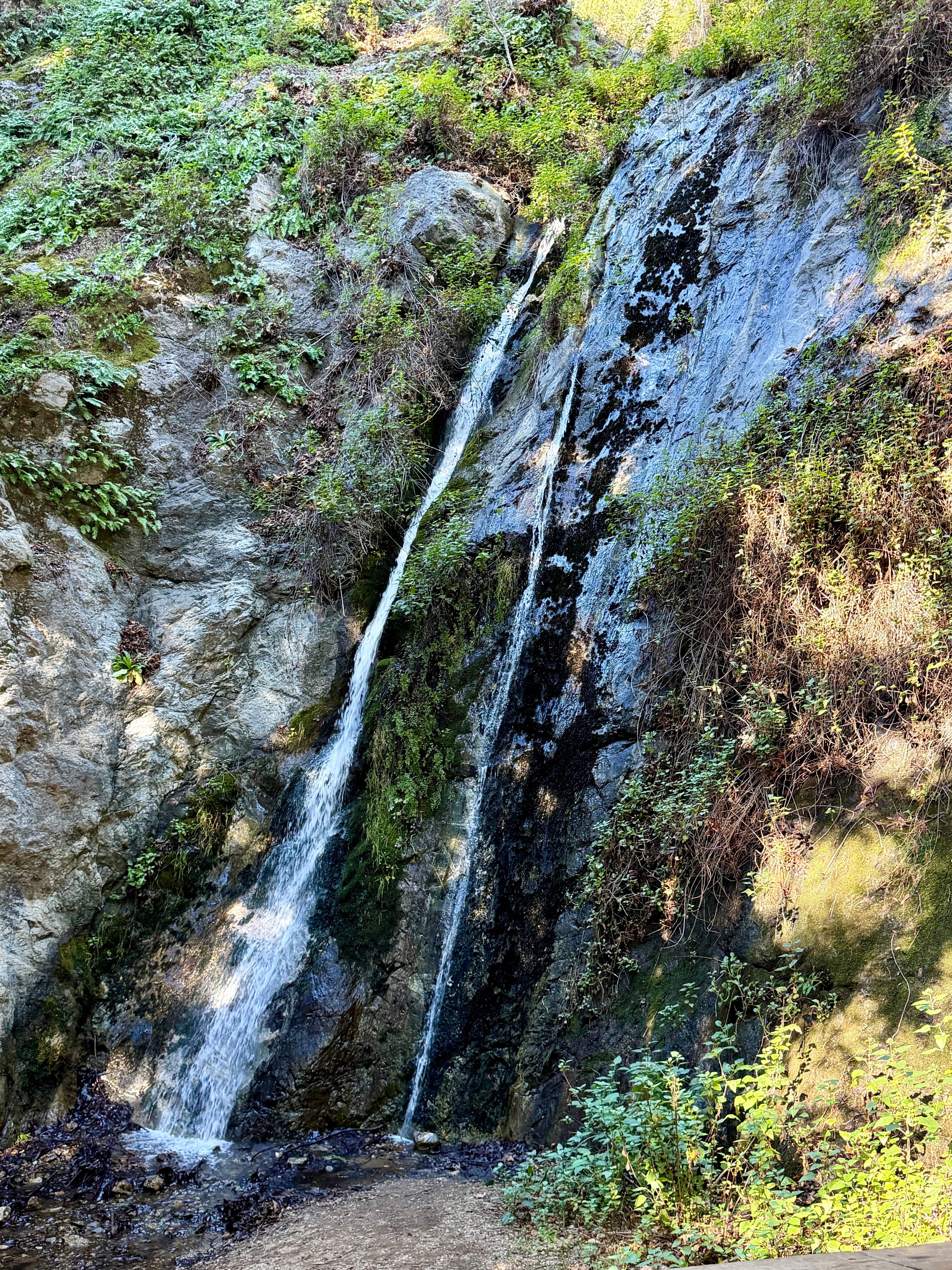 Falls in park