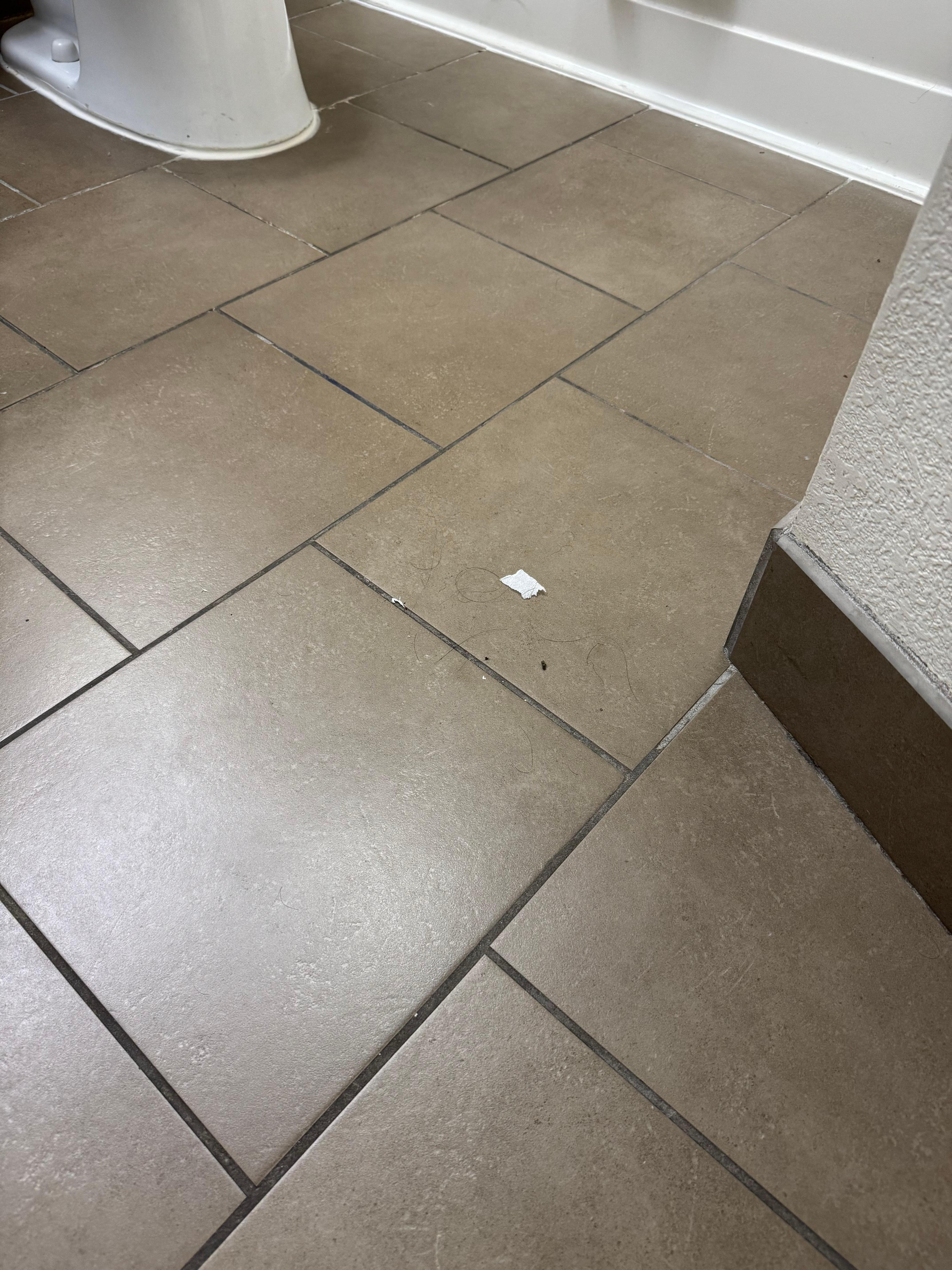 Hair and dirt that was left in the bathroom