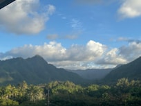 View from the 8th floor