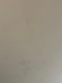 Mold on ceiling
