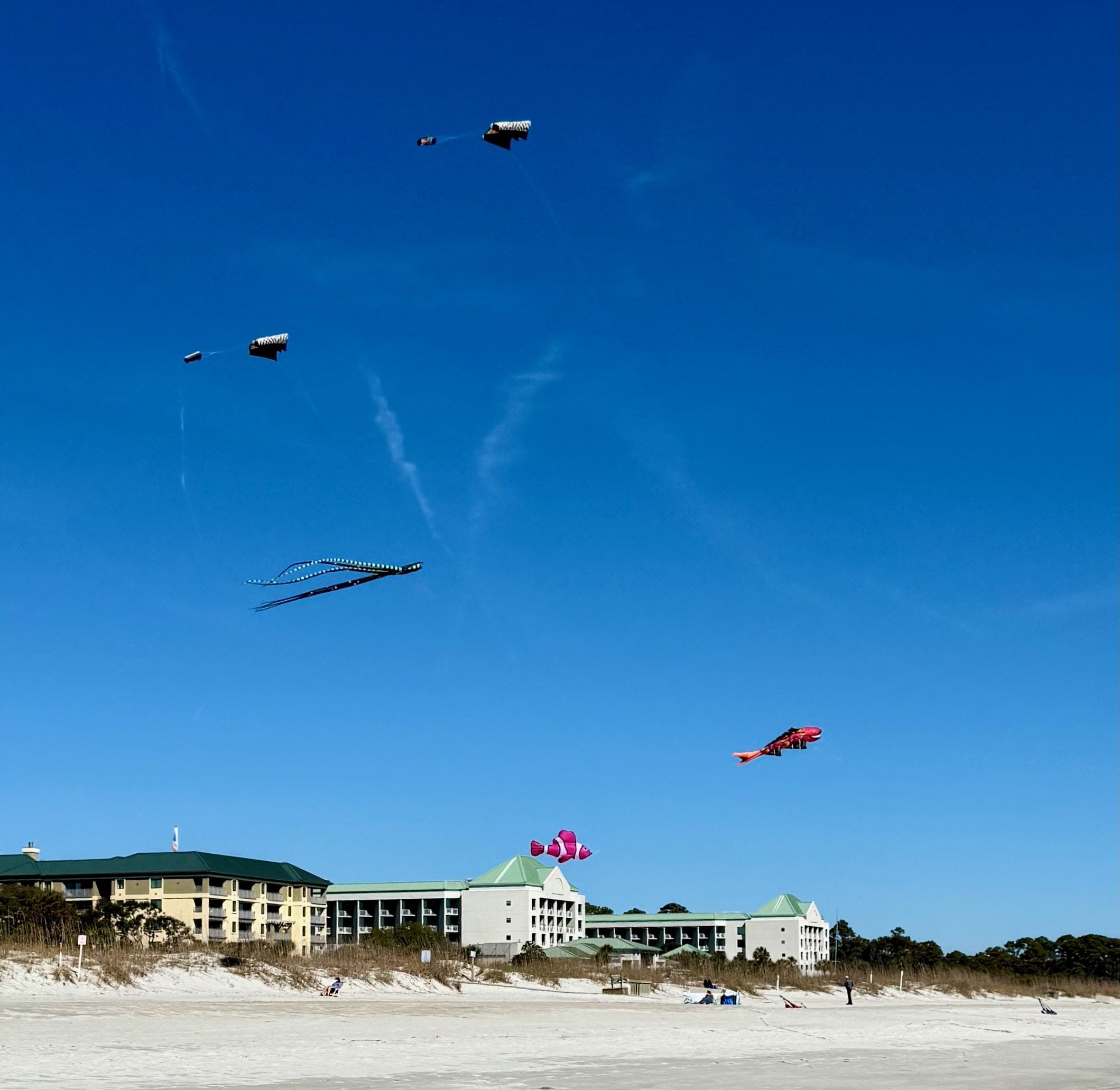 Kites on the beach