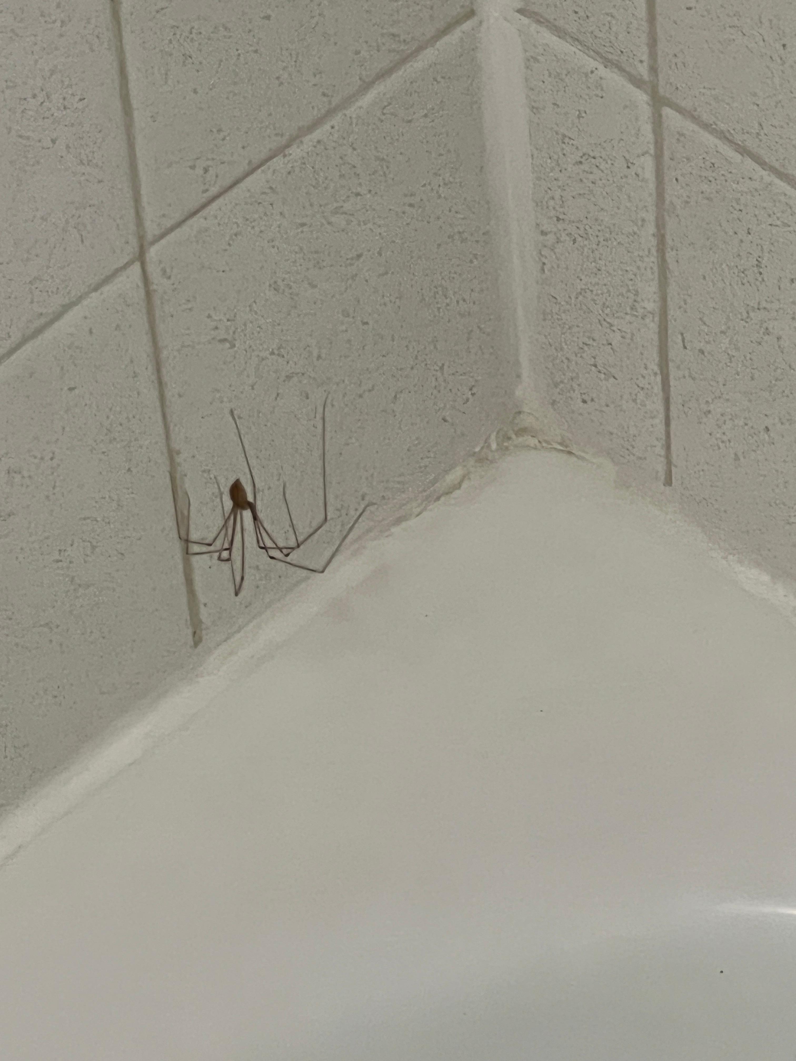I named him Fred.