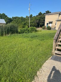 Unkempt lawn with sewage drainage