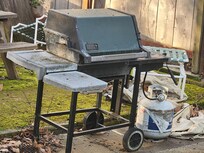 Barbeque in backyard