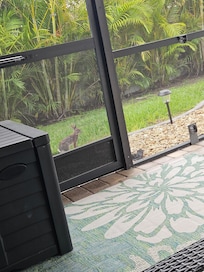 We saw a bunny on one of the mornings