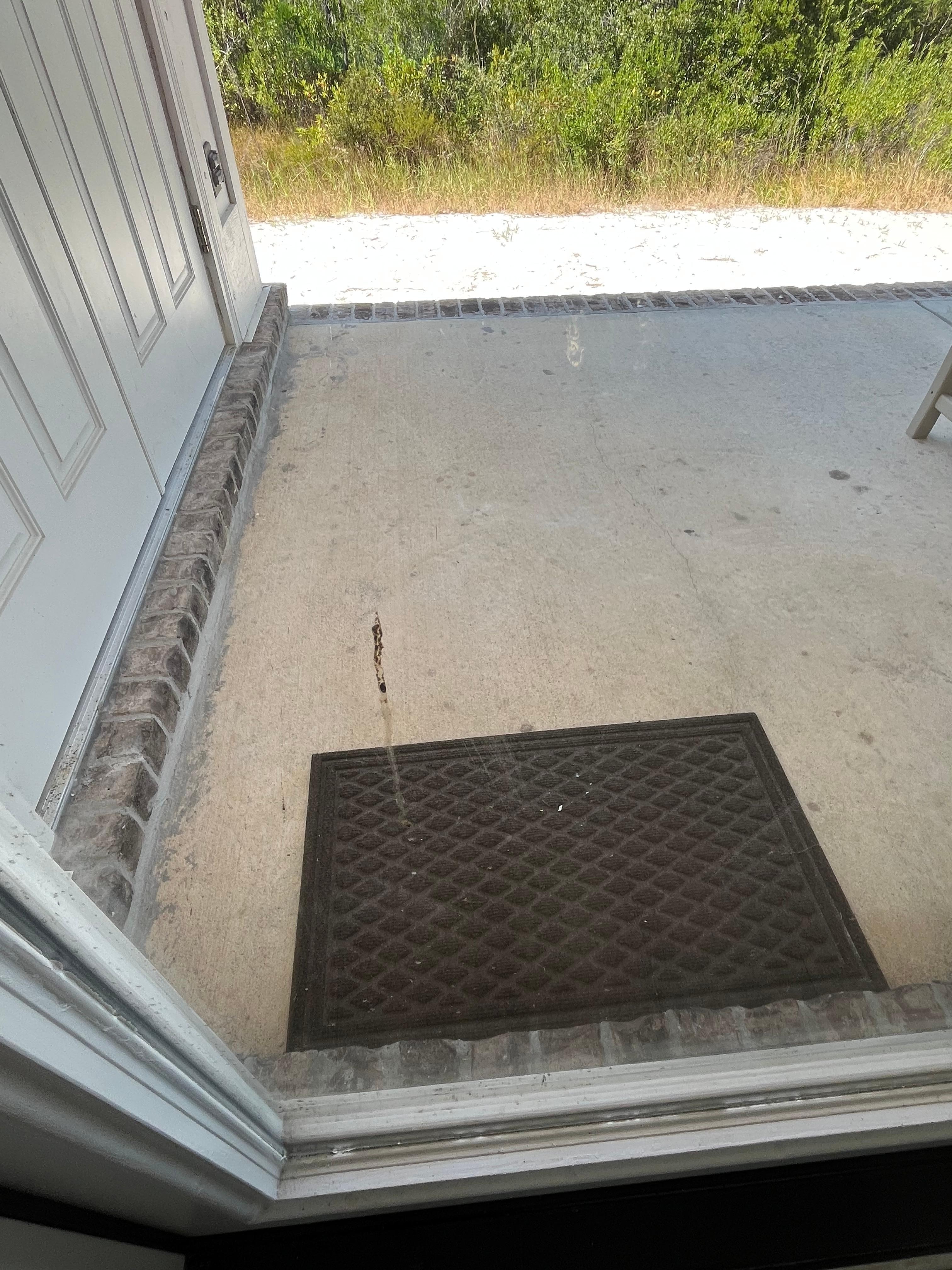 Spider feces on door 