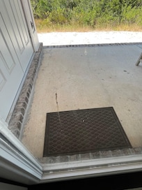 Spider feces on door