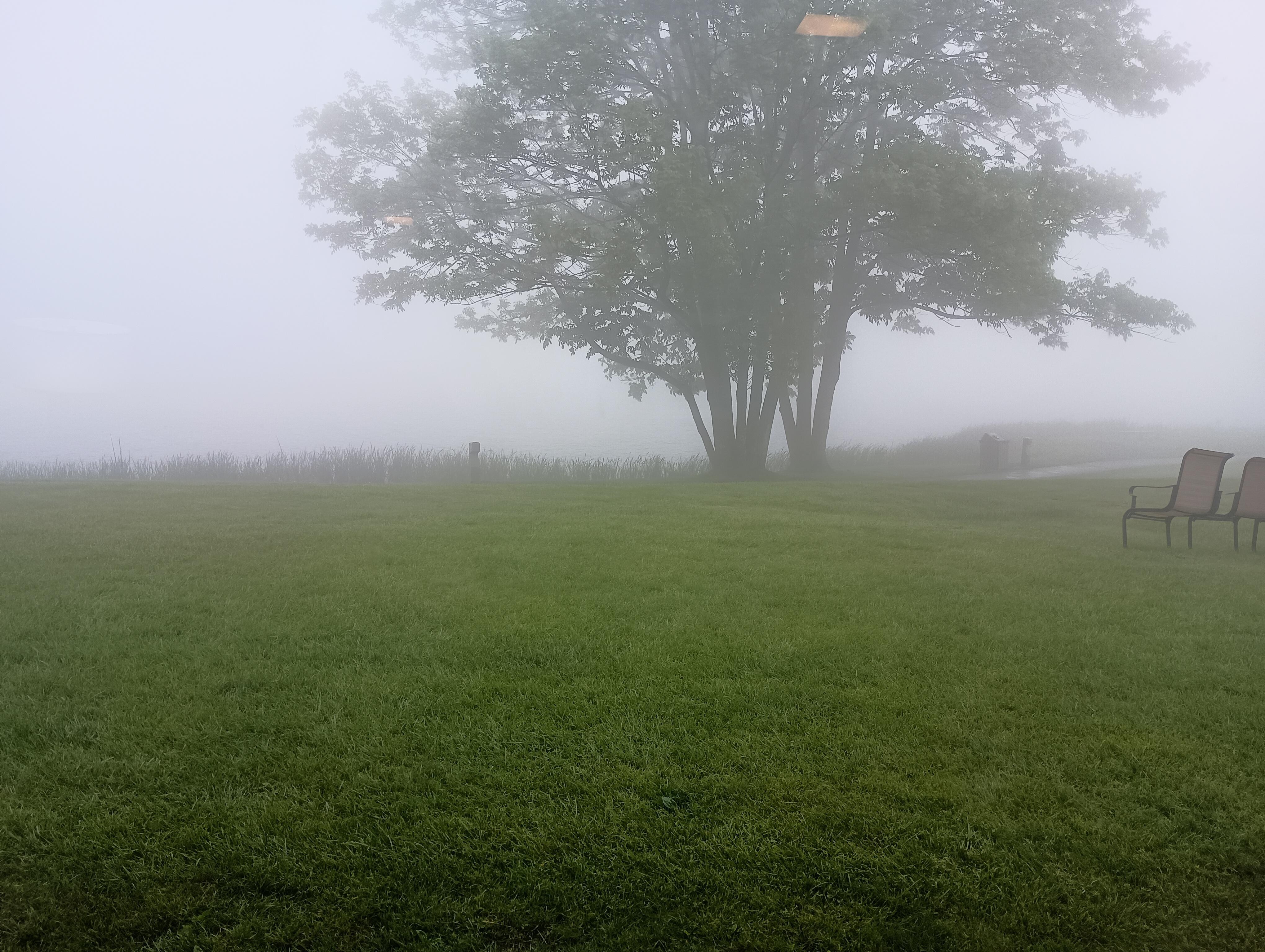 Unfortunately it rained all day Wednesday with heavy fog