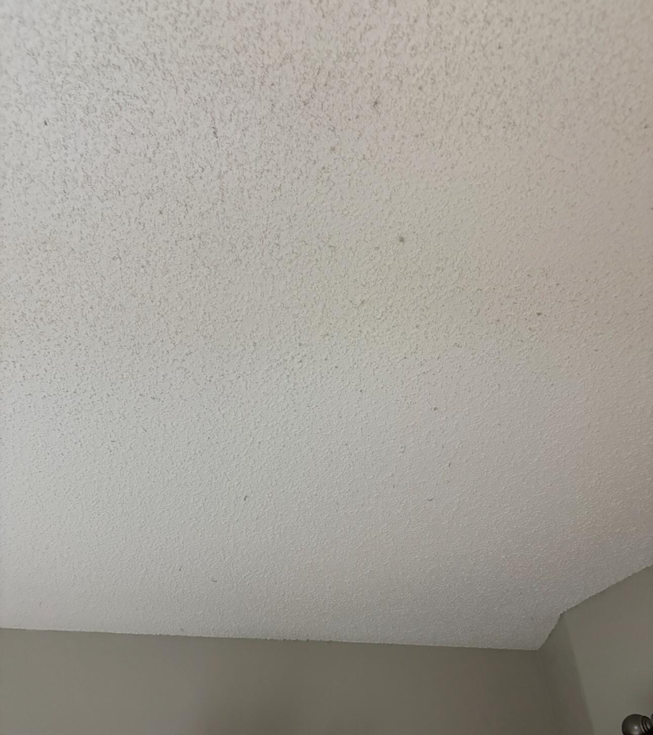 Dust hanging from ceiling 