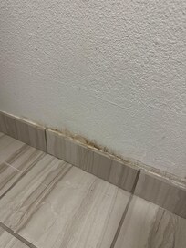 Mold