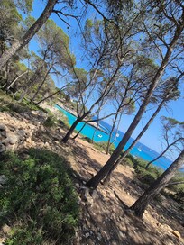 Parc naturel,  Mondgrado