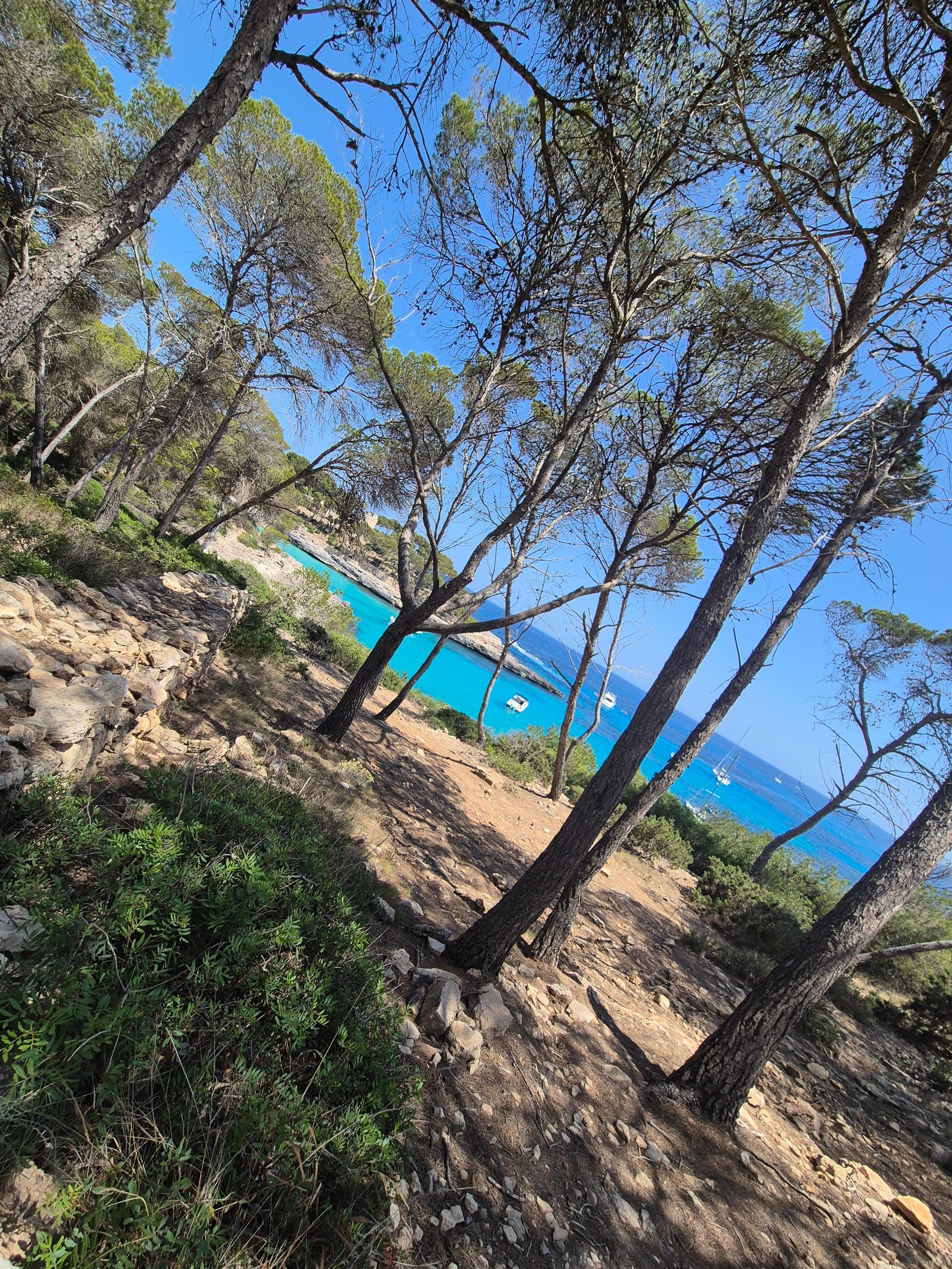 Parc naturel, Mondgrado