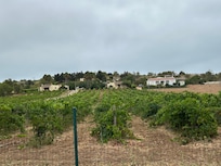 Property is a vineyard !!