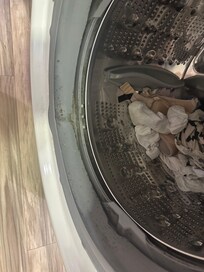 Moldy washing machine