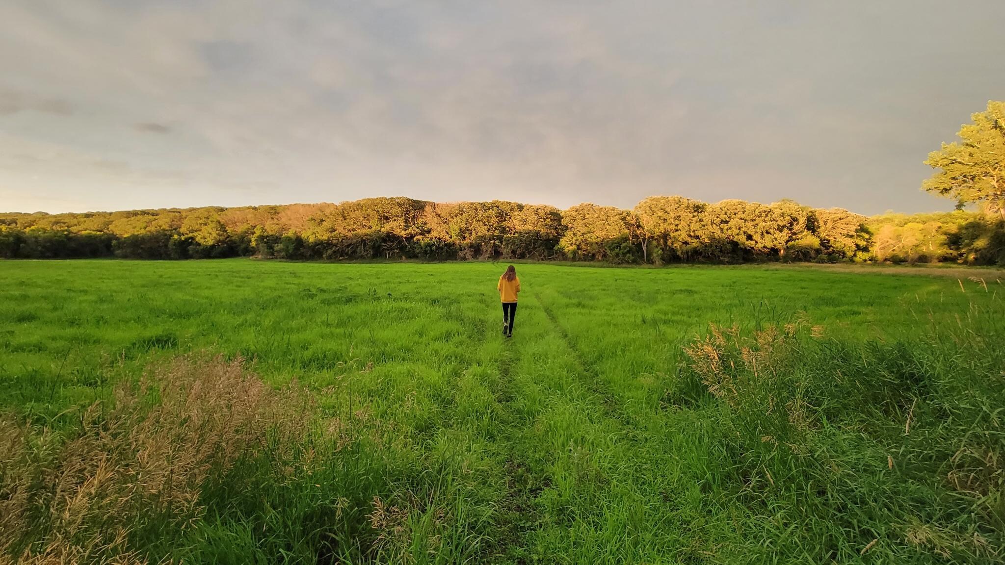 Walk on the grounds