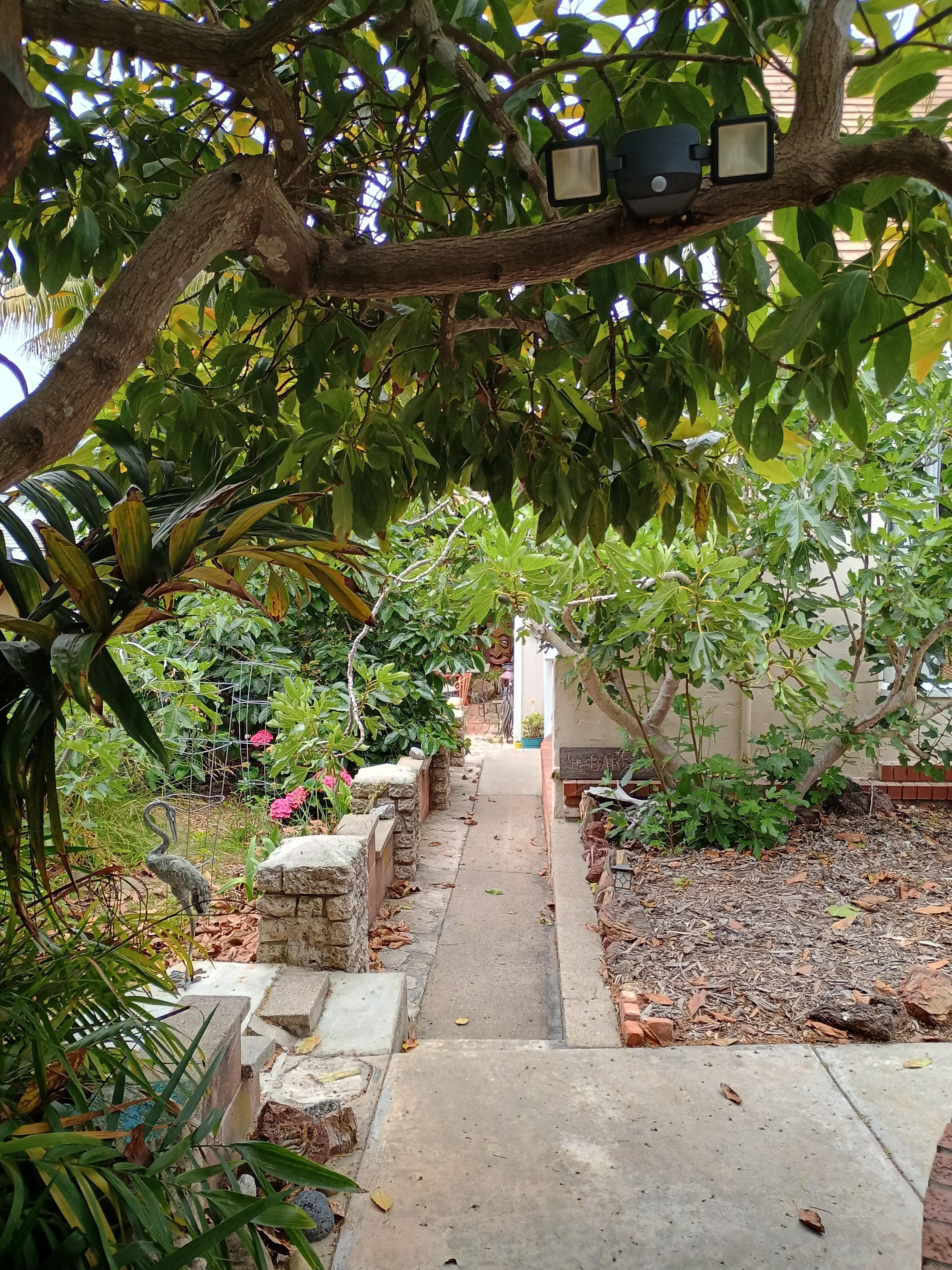 The walkway to the owners home, only usable outdoor space and shows how close they are