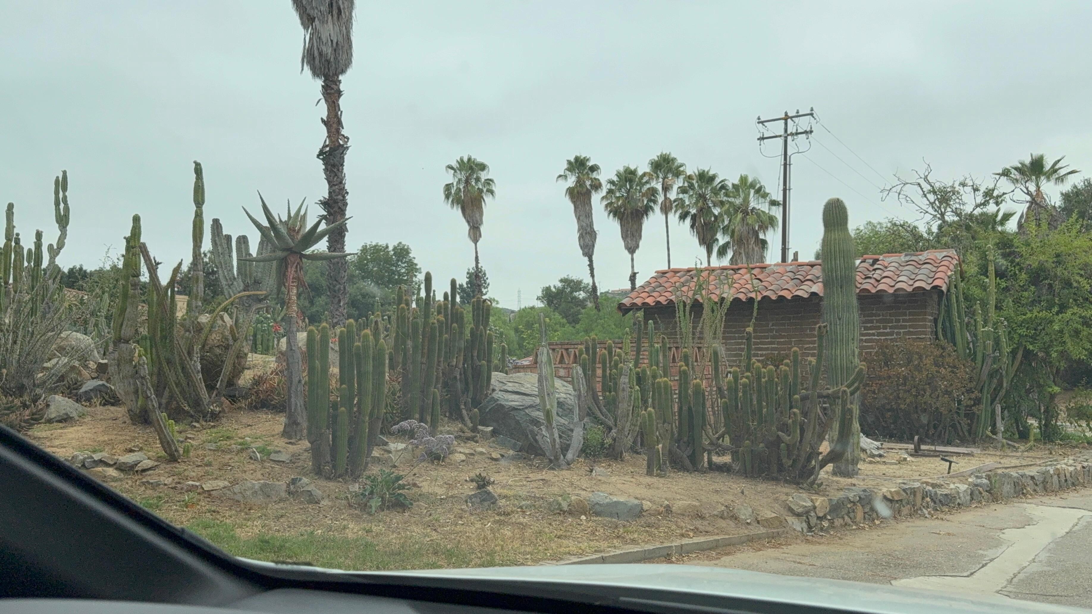 Cactus/succulent area. There’s a scavenger hunt. Hint hint lol