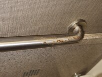 Rust on handrail in Bathroom
