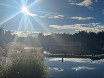 Afternoon sun over the marina