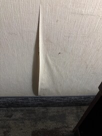 Wallpaper peeling