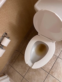 Toilet full of pee