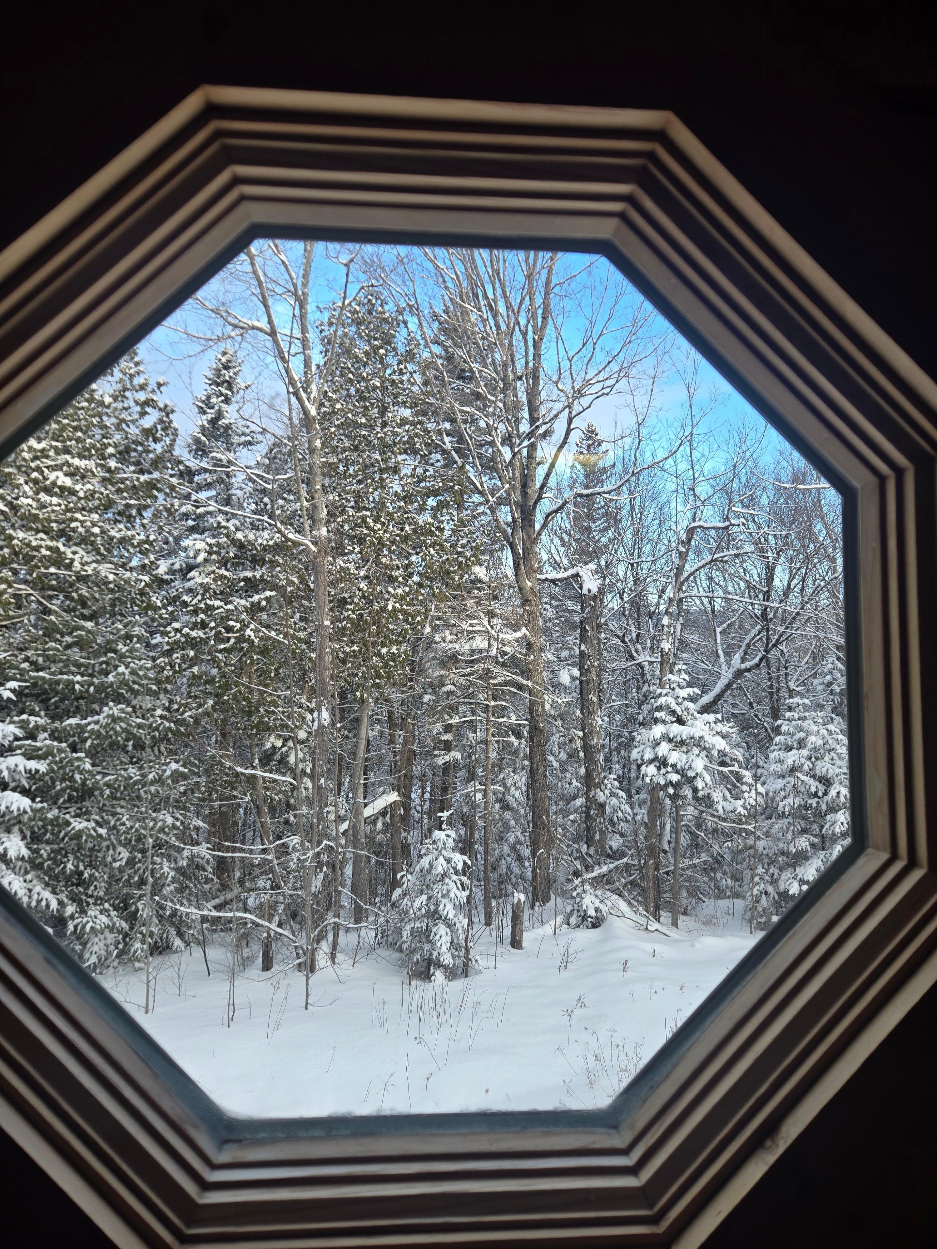 A look out the bathroom window!