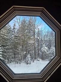 A look out the bathroom window!