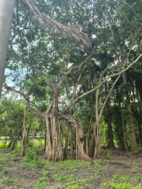 Snyder Park