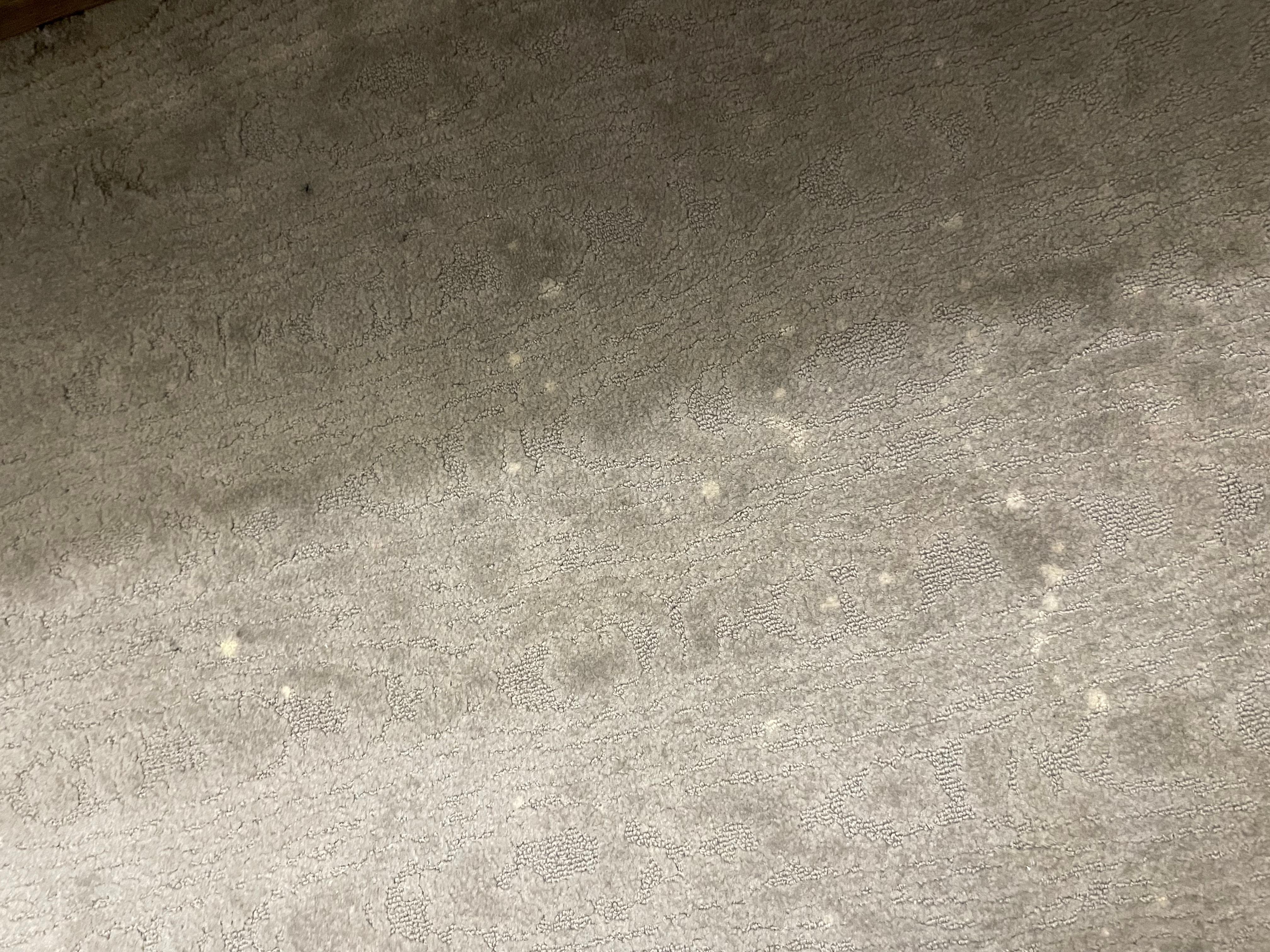 Carpet, just awful