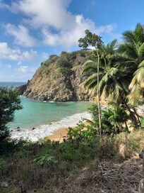 Praia do Cachorro
