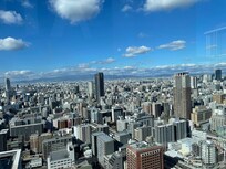 Great Osaka view