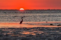Bunche Beach