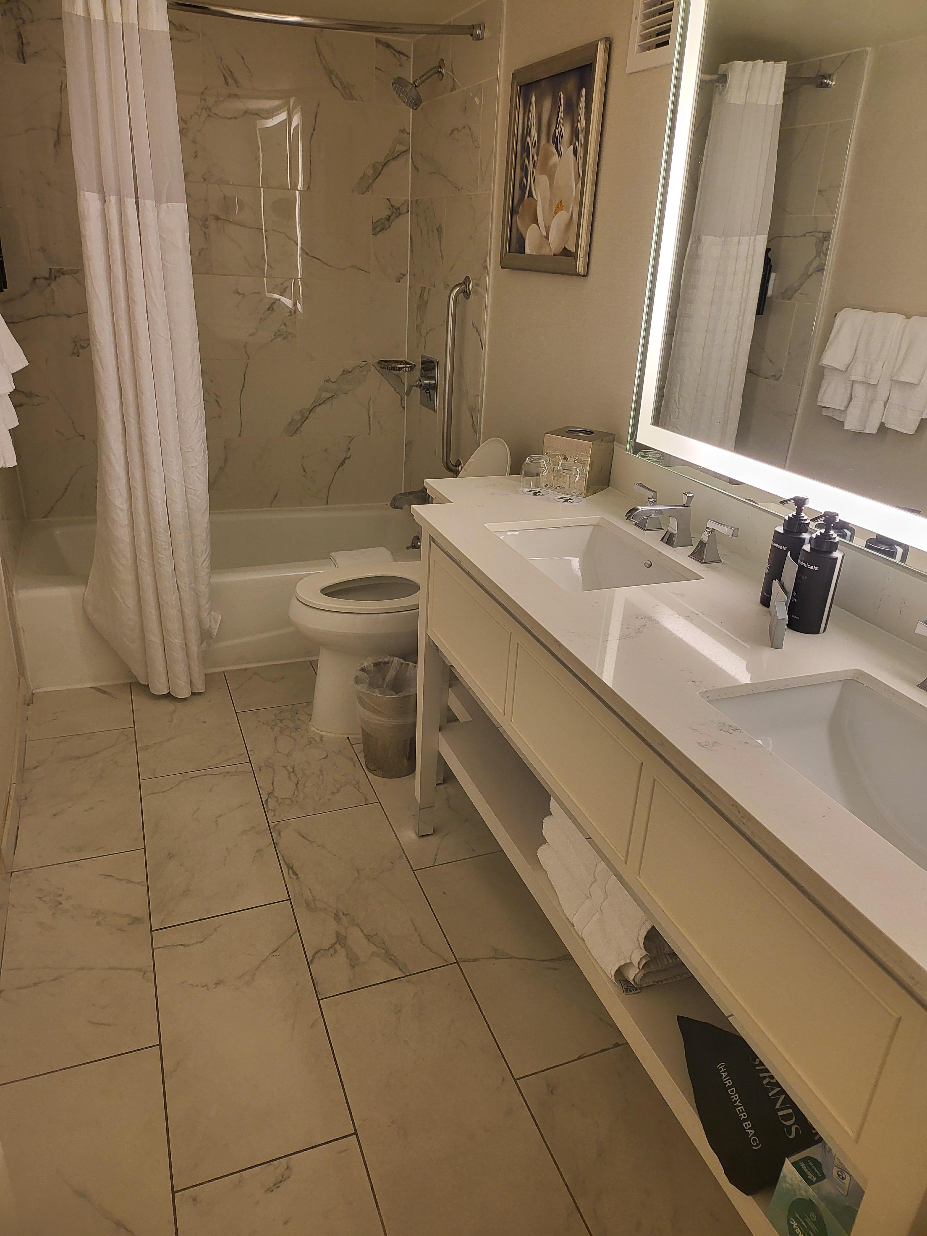 The "executive level" room with mold bathroom 