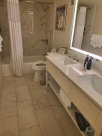 The "executive level" room with mold bathroom