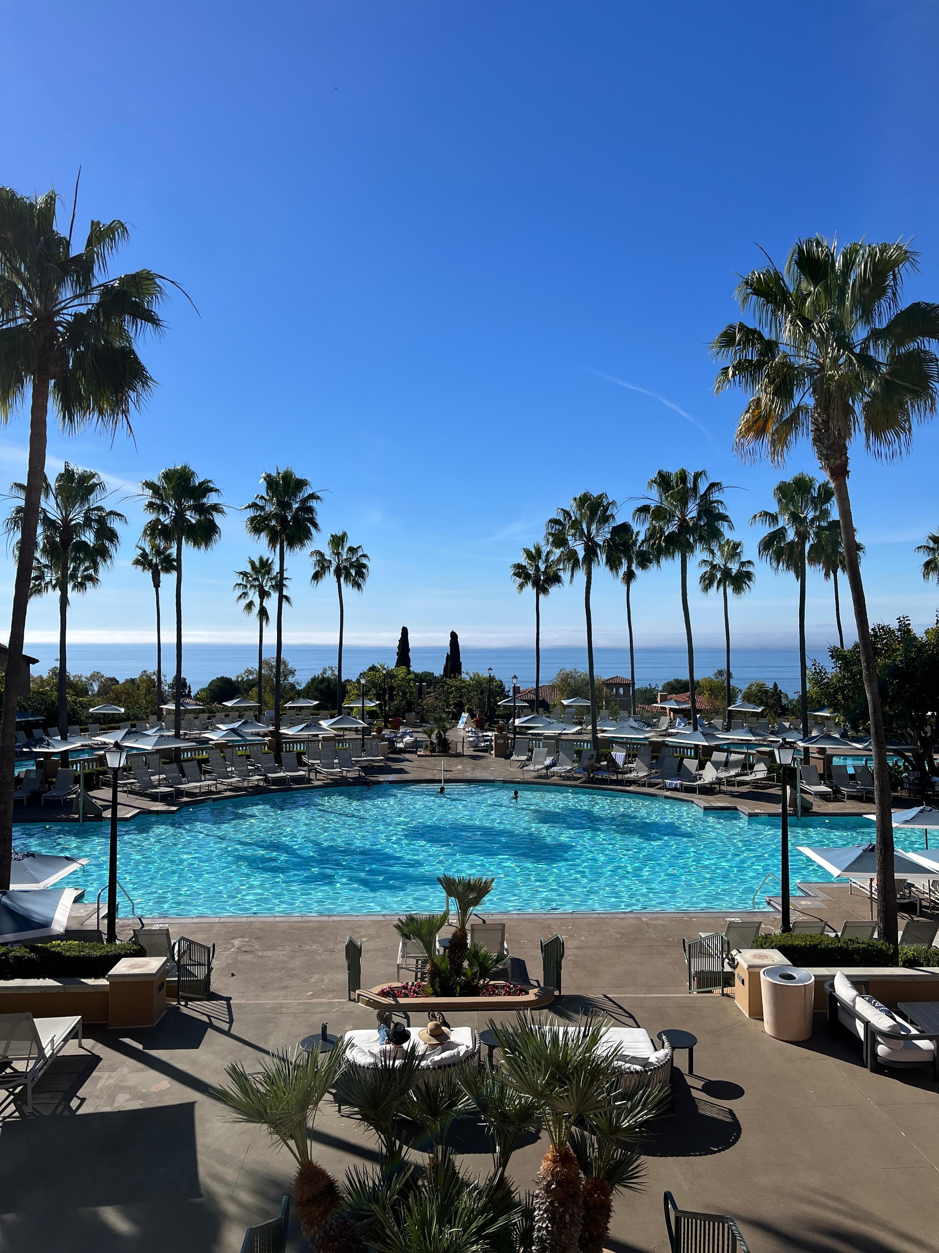 Pool area behind registration. 